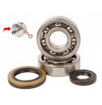 crankshaft bearing and seal kits