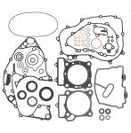 Athena  full engine gasket and oil seals  kits