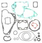  full engine gasket and oil seals  kits - Suzuki Rm 250 1992-1993